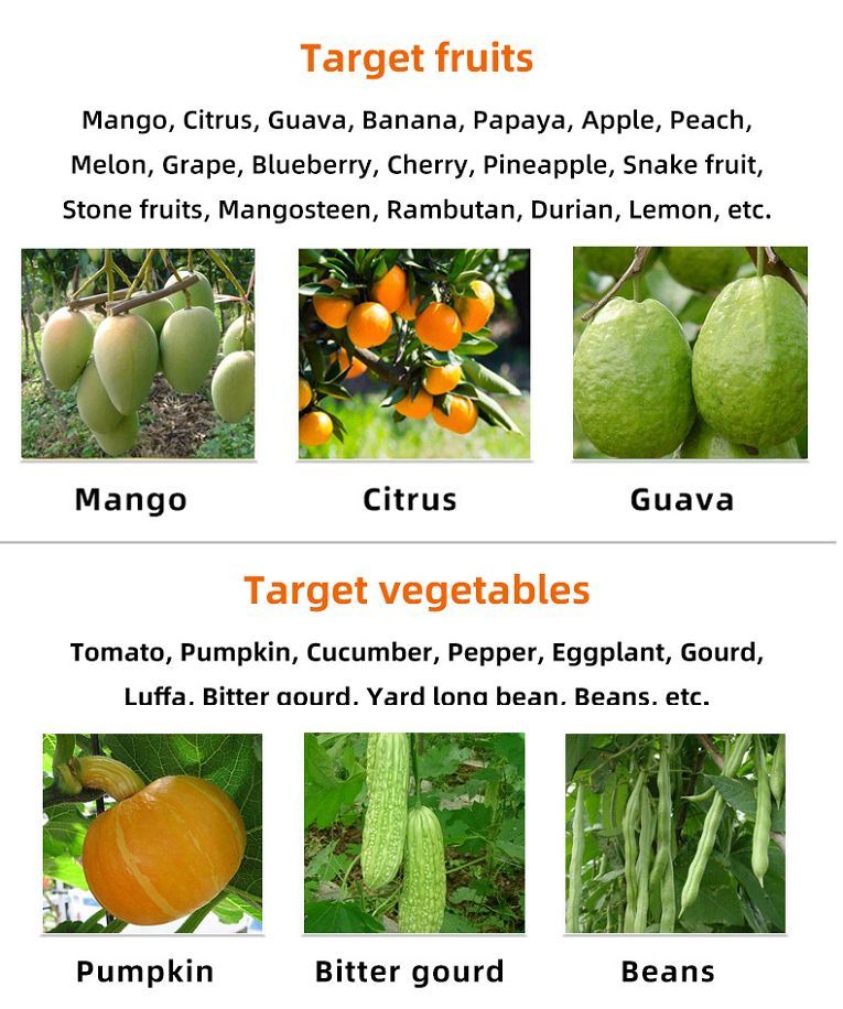 target fruits(001)
