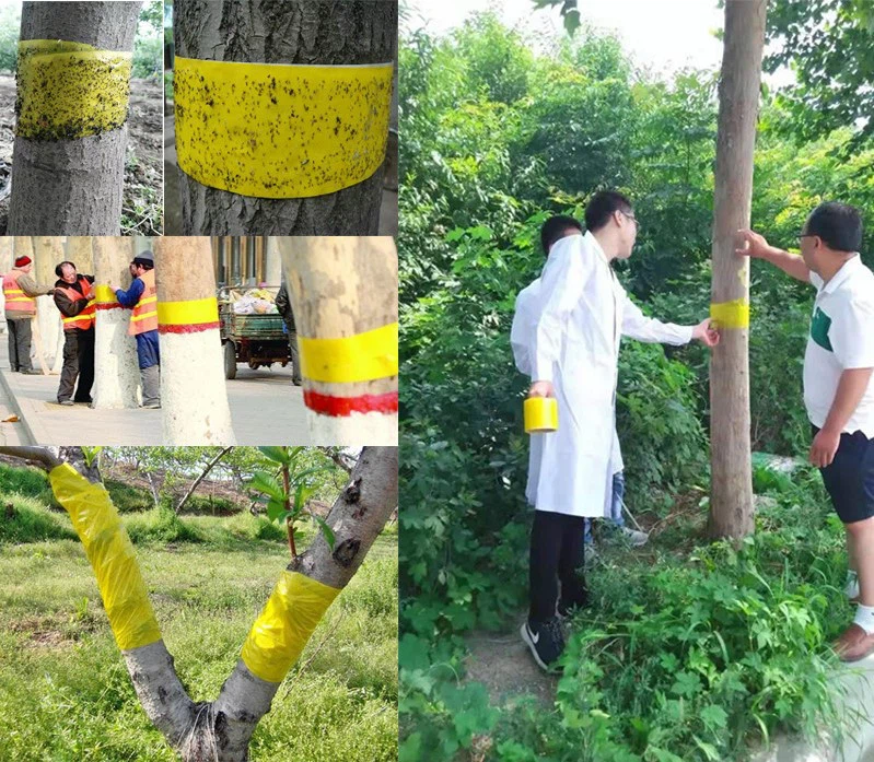 fly roll tape application
